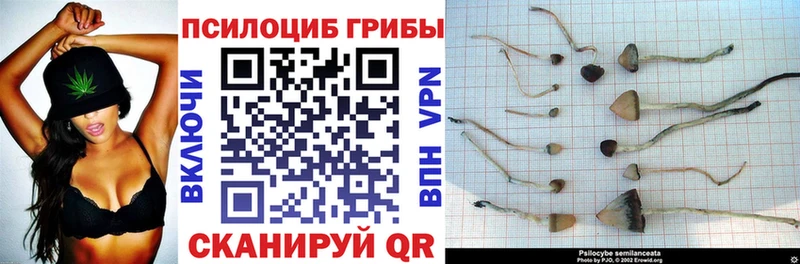 MEGA ONION  Выкса  Галлюциногенные грибы мухоморы 